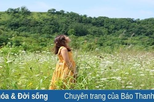 Hạnh phúc đến từ những góc nhìn dịu dàng