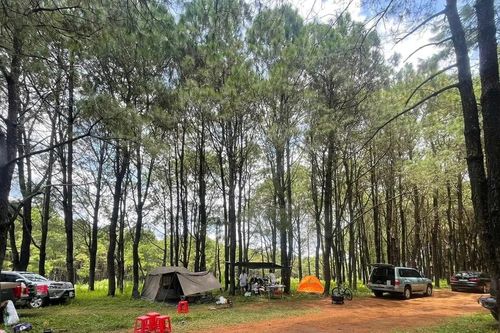 Xu hướng dã ngoại, cắm trại bằng ô tô gắn kết với thiên nhiên