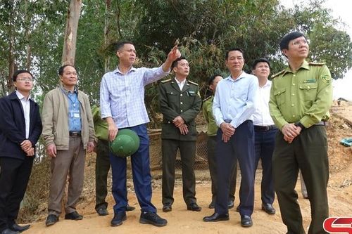 Đồng chí Phó Chủ tịch UBND tỉnh kiểm tra công tác quản lý bảo vệ rừng và PCCCR tại huyện Mai Sơn, Sông Mã