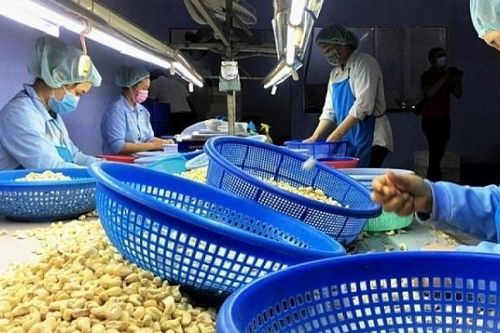 Doanh nghiệp Việt cần xanh hóa trong sản xuất và tiêu dùng trong bối cảnh mới