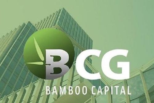 Hai vợ chồng phó chủ tịch Bamboo Capital đăng ký bán ra hơn 11 triệu cổ phiếu BCG