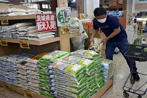 Giá gạo tăng cao, Nhật Bản đấu thầu 210.000 tấn gạo dự trữ nhằm bình ổn giá