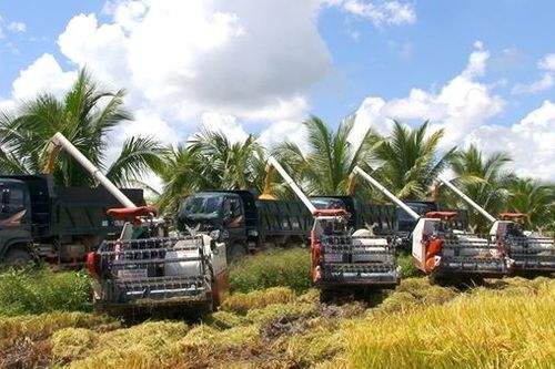 Gỡ khó cho gạo xuất khẩu