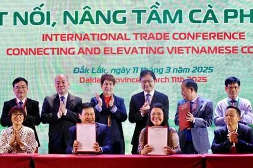 Cà phê Việt Nam trước thách thức quy định phòng chống phá rừng của EU