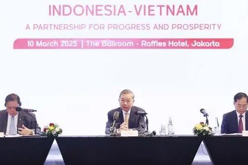 Tổng Bí thư dự Tọa đàm doanh nghiệp Việt Nam - Indonesia