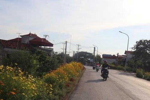 Hà Nội phê duyệt phương án, vị trí tuyến đường từ đê Tiên Tân đến Trường Mầm non Đan Phượng