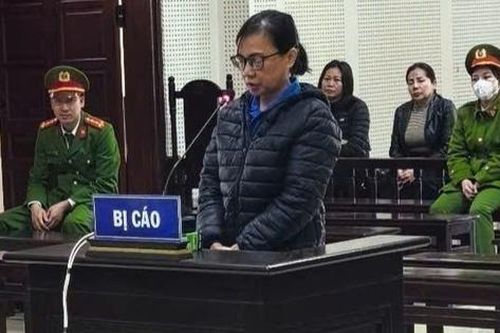 Lừa đảo hơn 12 tỉ đồng, người phụ nữ nhận án 29 năm tù