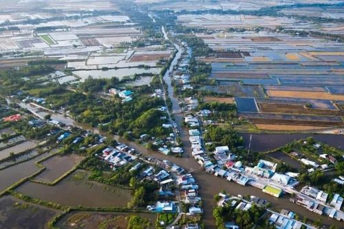 Kỳ tích trên cánh đồng 'chó ngáp'!