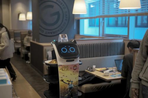 Độc đáo robot tai mèo phục vụ nhà hàng tại Nhật Bản