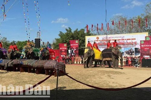 Tưng bừng Hội voi Buôn Đôn năm 2025