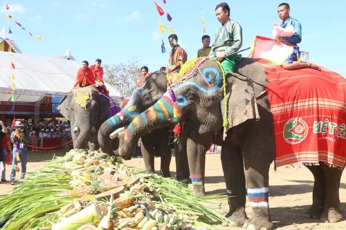 Đặc sắc hội voi Buôn Đôn