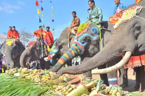 Hội Voi Buôn Đôn 2025: Lễ hội văn hóa độc đáo giữa đại ngàn