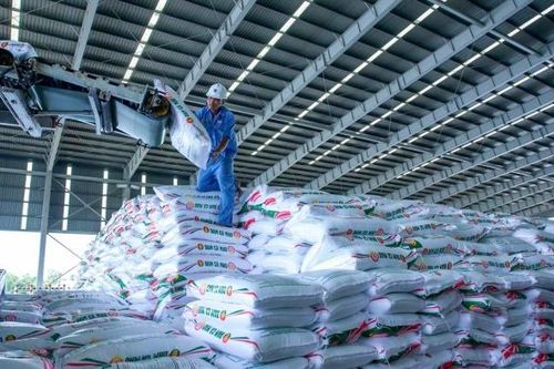 Phân bón Cà Mau: Tuổi mới, khí thế mới