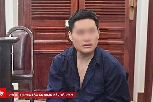 Liên tiếp cướp giật điện thoại, một du khách người nước ngoài lĩnh án