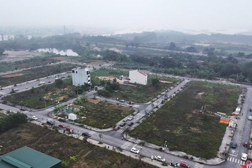 Cảnh hiếm thấy ở khu đô thị bỏ hoang nhiều năm ở Phú Thọ