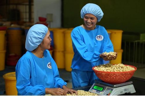 ofi Việt Nam nỗ lực xây dựng nơi làm việc hòa nhập, đa dạng và bình đẳng