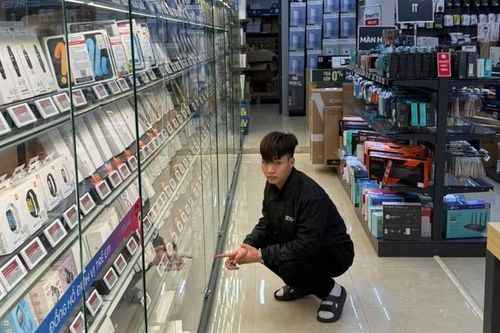 Nhân viên cửa hàng CellphoneS ở Bắc Ninh trộm cắp 26 điện thoại iPhone