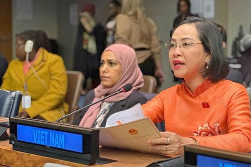 Phó Chủ tịch Quốc hội Nguyễn Thị Thanh phát biểu tại Khóa họp lần thứ 69 của Ủy ban địa vị phụ nữ Liên hợp quốc