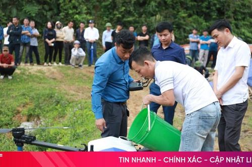 Nông dân Hương Sơn dùng 'máy bay' không người lái phun thuốc trừ sâu