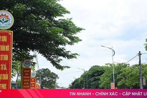 'Giữ lửa' phong trào nông thôn mới ở Thạch Hà