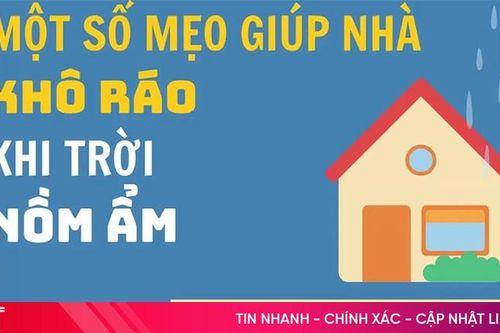 Cách giữ nhà cửa khô ráo trong tiết trời nồm ẩm