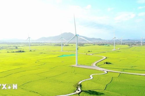 Vẻ đẹp nên thơ và hùng vĩ của cánh đồng điện gió Đầm Nại
