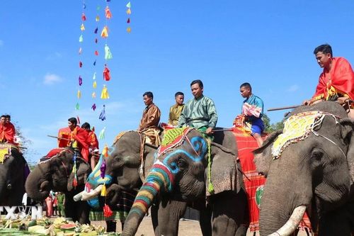 Đắk Lắk: Hội voi Buôn Đôn để lại ấn tượng sâu sắc với nhiều du khách