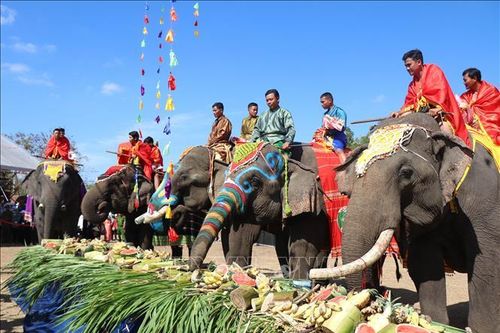 Đặc sắc Hội voi Buôn Đôn