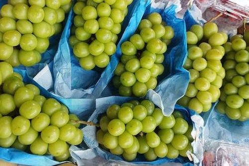 Giá nho sữa Trung Quốc 'chạm đáy', của rẻ có phải của ôi?