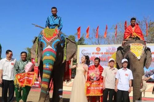 Độc đáo những chú voi được trang điểm rực rỡ, dự tiệc buffet ở Tây Nguyên