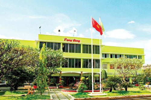 Cú 'hụt chân' của Nhựa Rạng Đông