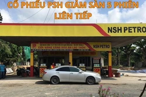 Cổ phiếu PSH giảm sàn 5 phiên liên tiếp, lãnh đạo Công ty phải giải trình