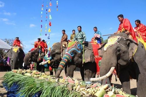 Đặc sắc Hội voi Buôn Đôn