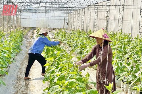 Tháo gỡ khó khăn, vướng mắc, tạo thuận lợi cho sản xuất nông nghiệp công nghệ cao