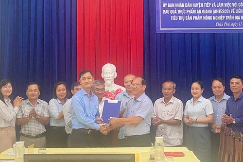 UBND huyện Châu Phú làm việc với Công ty Antesco về phát triển chuỗi liên kết sản xuất