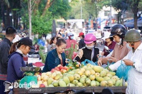 Đồng Nai cung cấp cho thị trường 140 ngàn tấn trái cây