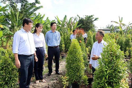 Lãnh đạo tỉnh thăm nông dân nuôi tôm và trồng hoa kiểng tại Nhị Mỹ