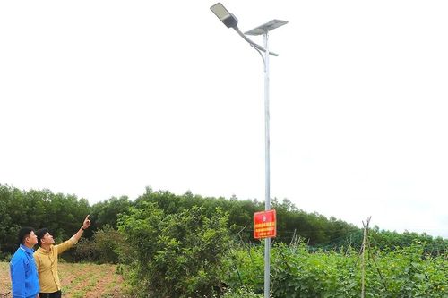 Thanh niên chung tay thắp sáng đường quê