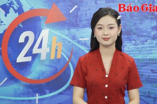 Gia Lai 24h: Ngang nhiên khai thác trái phép hàng ngàn m3 đất tại xã Ayun Hạ