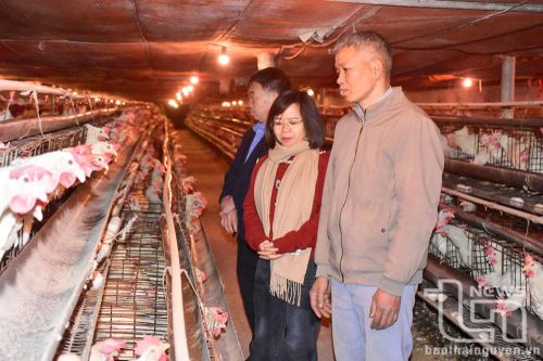 Thúc đẩy 'tri thức hóa' nông dân