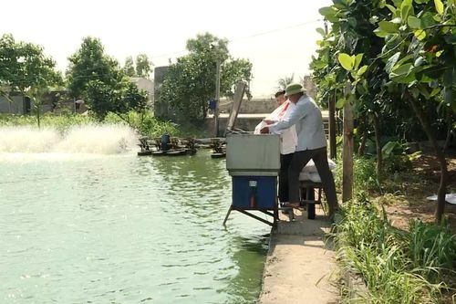 Ninh Bình chuyển đổi số để thúc đẩy phát triển nông nghiệp bền vững