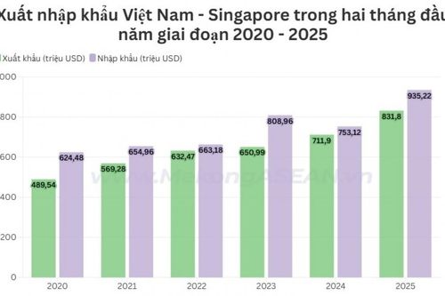 Số liệu xuất nhập khẩu Việt Nam-Singapore hai tháng đầu năm 2025