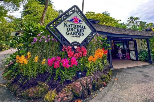 Những loài lan tuyệt đẹp trong National Orchid Gardens của Singapore