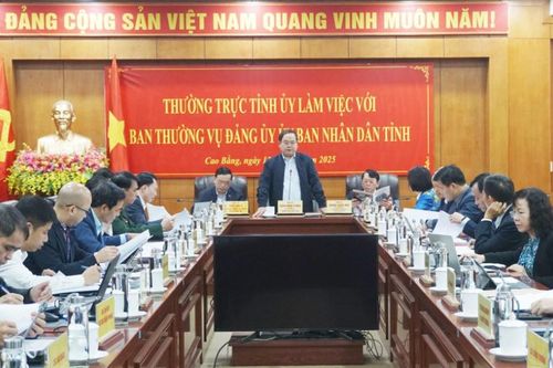 Thường trực Tỉnh ủy làm việc với Đảng ủy UBND tỉnh về phát triển kinh tế khu vực cửa khẩu