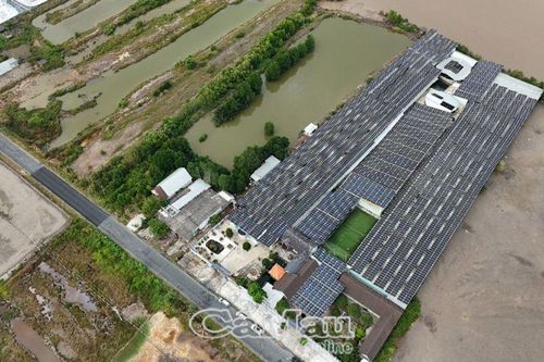 Cà Mau hướng tới 'thủ phủ' năng lượng xanh - Bài cuối: Chìa khóa đến Net zero