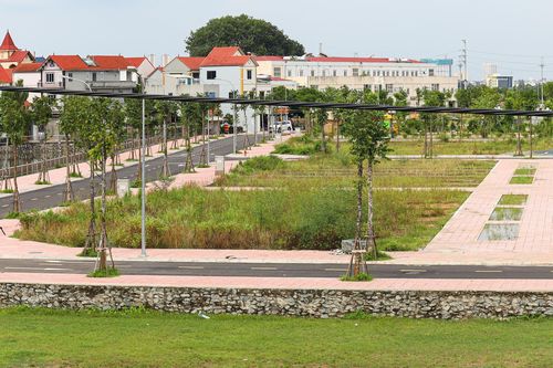 Hà Nội: 22 lô đất trúng đấu giá ở quận Hà Đông bị bỏ cọc