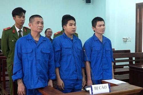 Rủ nhau đi trộm tài sản, 3 đối tượng lĩnh án