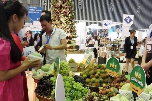 Doanh nghiệp gặp khó khi chuyển đổi xanh