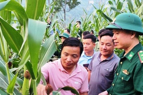 Ấm áp tình quân dân