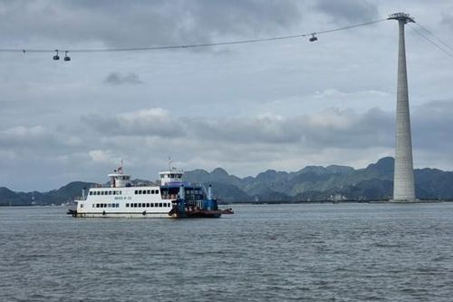 Hải Phòng: tiếp tục miễn, giảm giá vé phà cho người dân huyện đảo Cát Hải